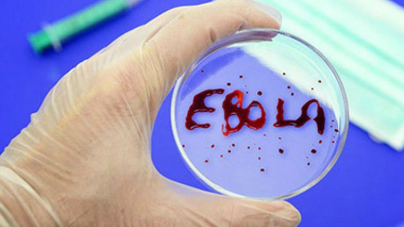 Российскую вакцину от лихорадки Эбола передадут Гвинее