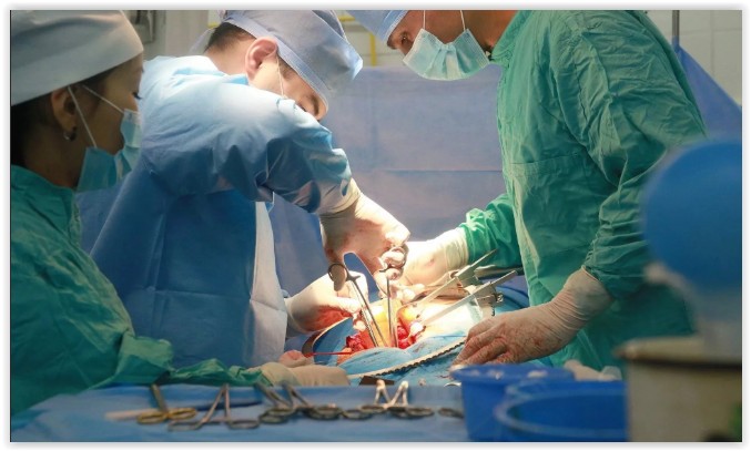 Хирурги Боткинской больницы планируют проводить до 130 трансплантаций в год