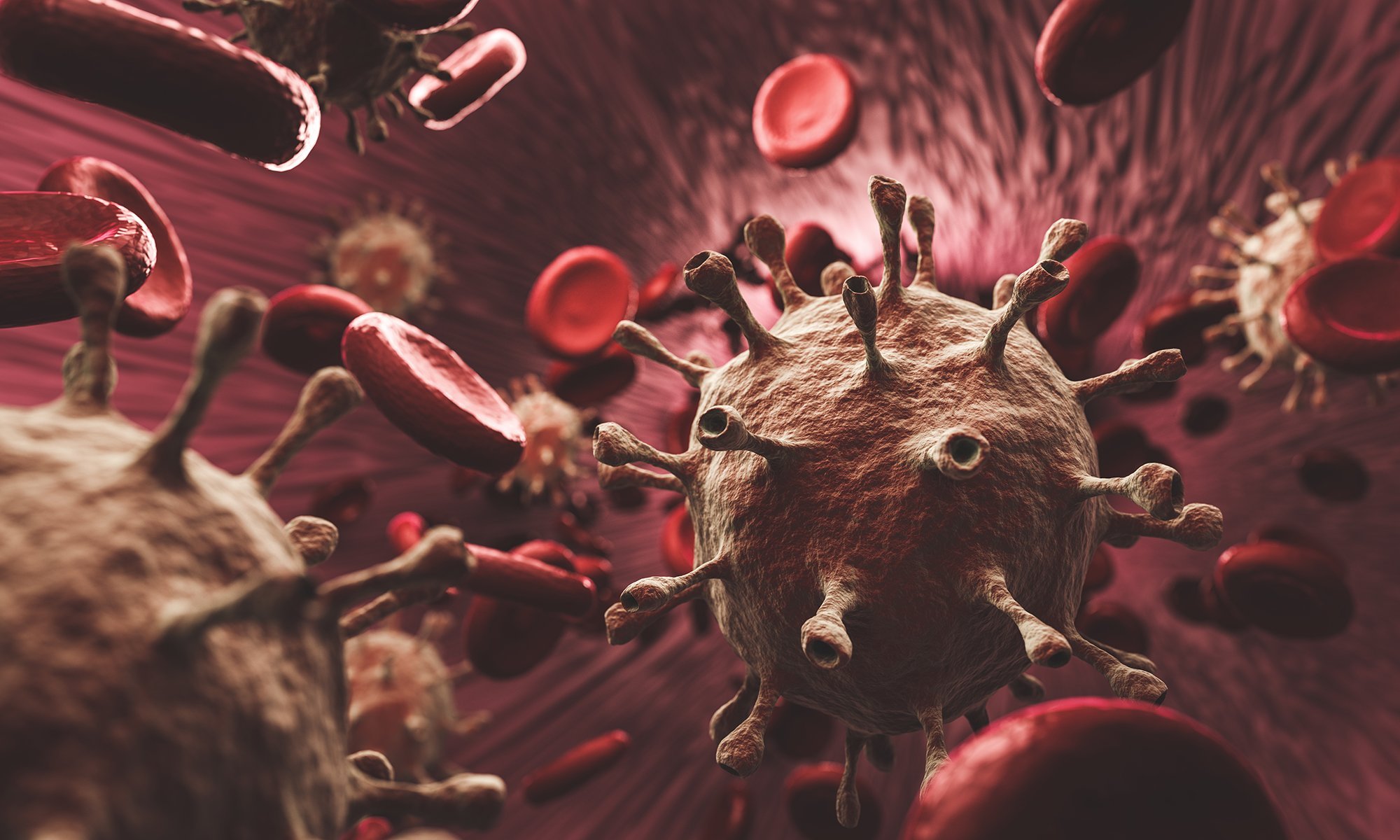 «Большинство ученых, а не диванных вирусологов, считают естественным происхождение коронавируса»