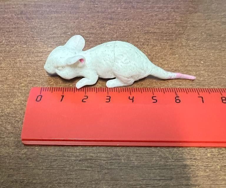 Ростовские врачи достали из желудка ребенка семисантиметровую мышь 