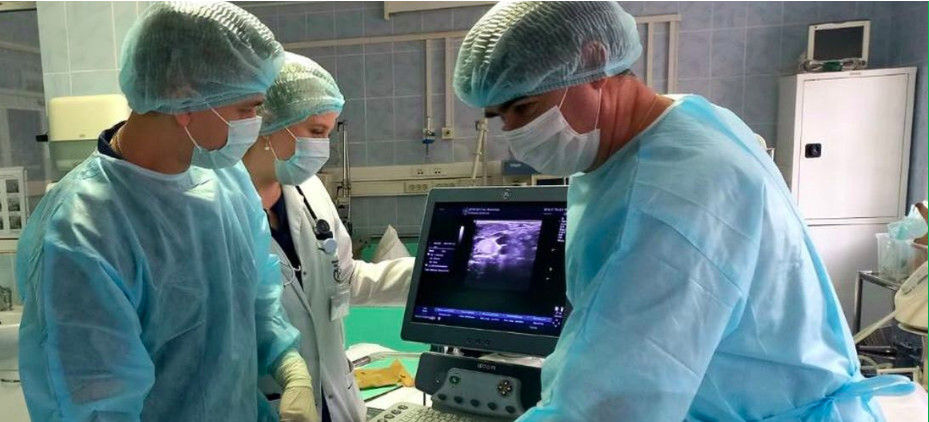 Московские врачи спасли трёхлетнего ребёнка от ампутации ноги после укуса ядовитой медузы