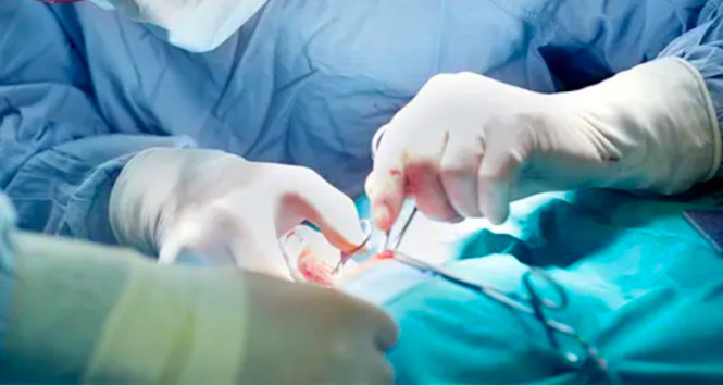 Петербургские врачи успешно прооперировали младенца с редкой аномалией коронарной артерии 