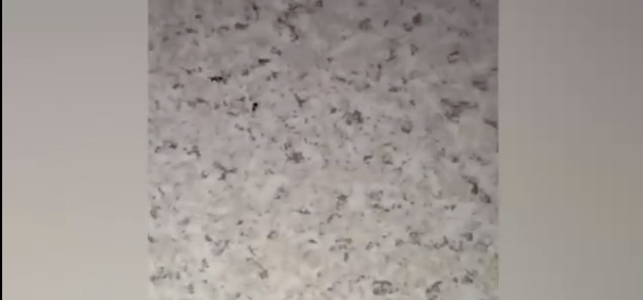 В больнице наличие тараканов и клопов в палате объяснили тем, что их заносят сами пациенты