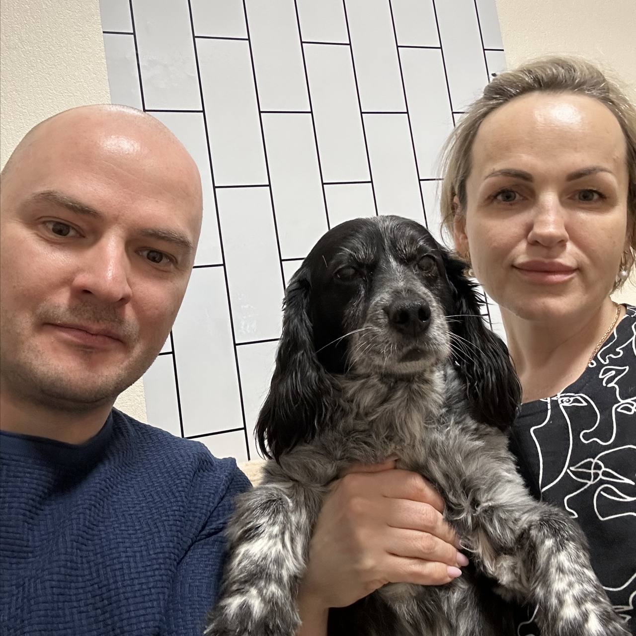 Ямальские врачи спасли запертую в фуре собаку пациента, который поступил в больницу на экстренное хирургическое лечение