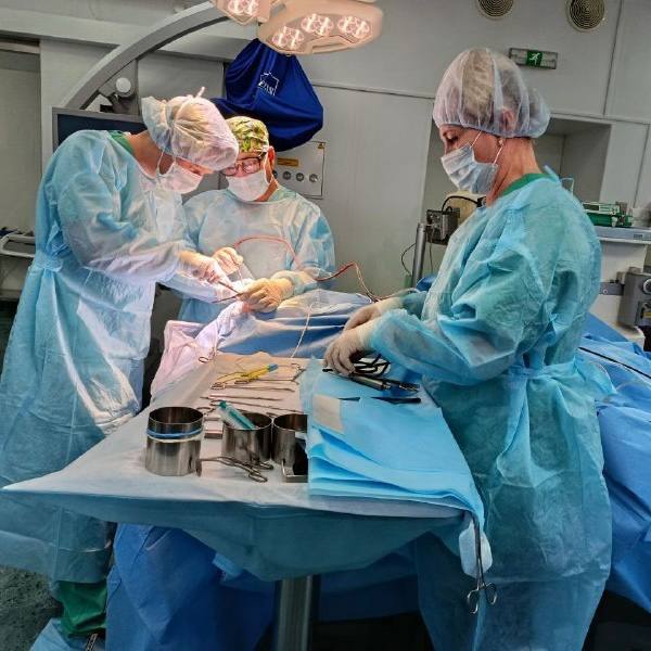 Новосибирские врачи прооперировали беременную с разрывом аневризмы позвоночной артерии