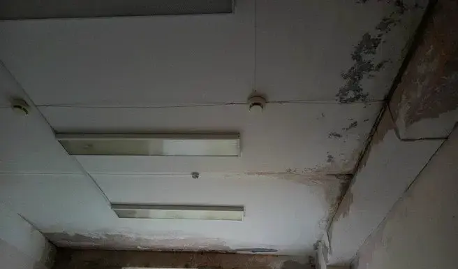 В больнице Новосибирской области подтеки в палатах назвали эстетической проблемой Подтеки на потолке в палате хирургического отделения больницы